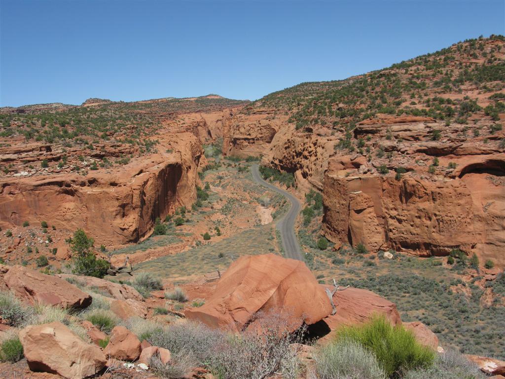 IMG_0116 (Large).JPG