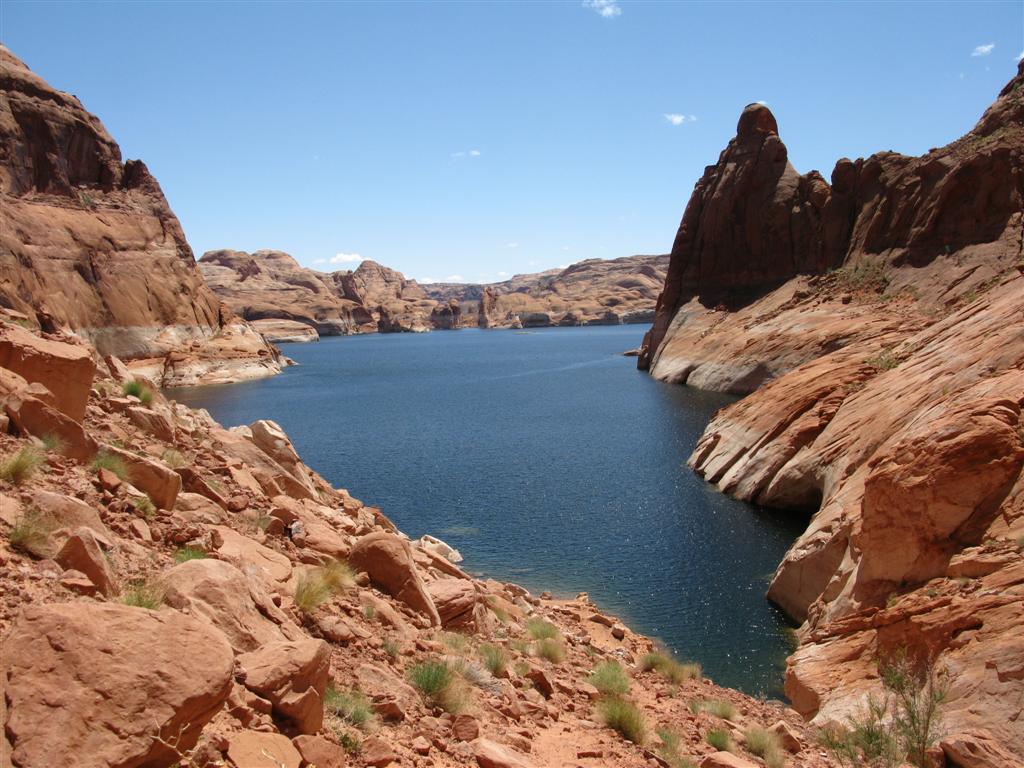 IMG_0346 (Large).JPG