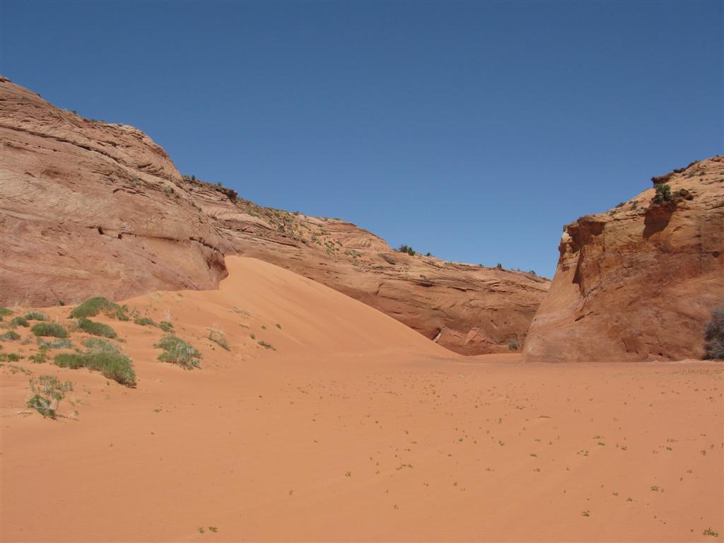 IMG_0168 (Large).JPG