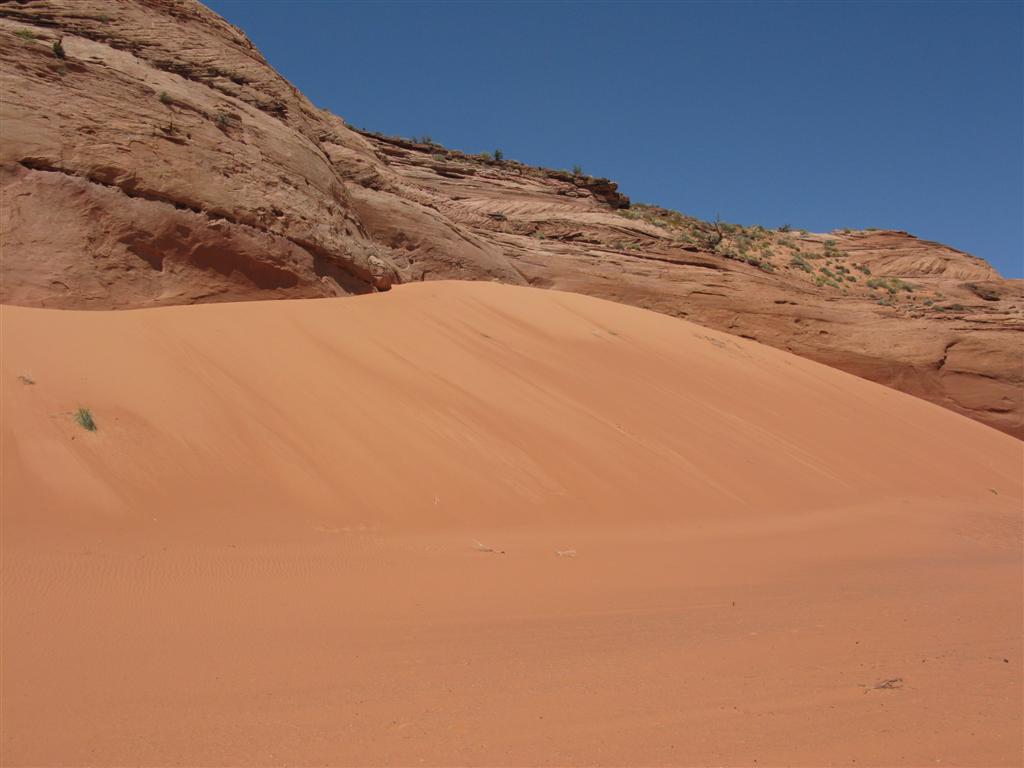 IMG_0173 (Large).JPG