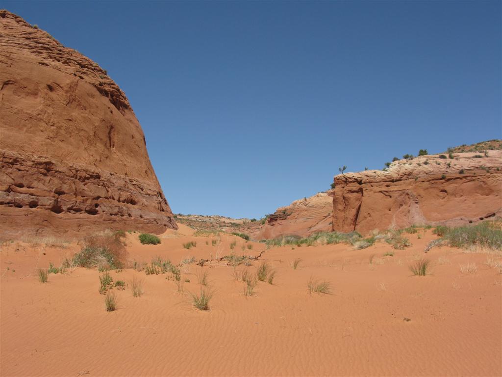 IMG_0177 (Large).JPG