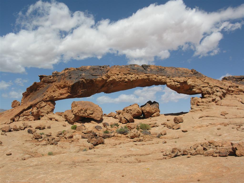 IMG_0210 (Large).JPG