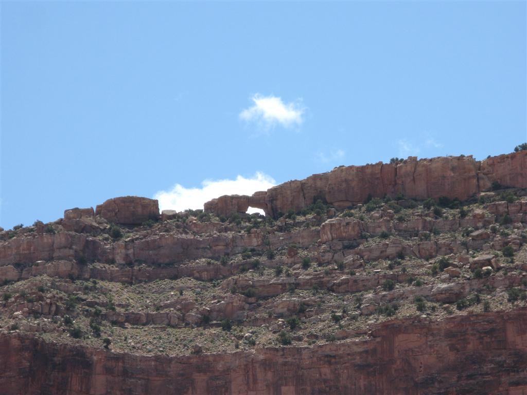 IMG_0295 (Large).JPG