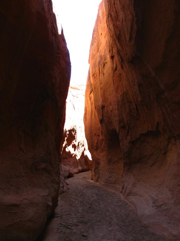 IMG_0150 (Large).JPG