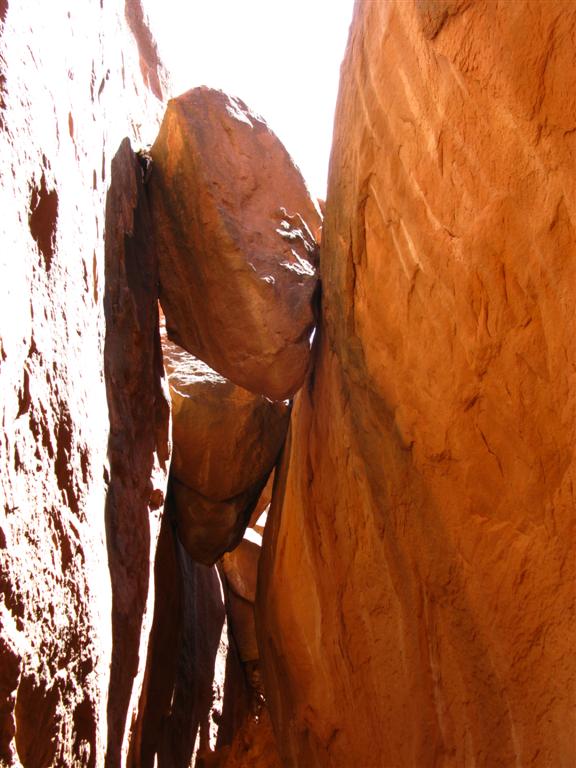 IMG_0160 (Large).JPG