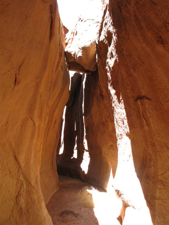 IMG_0165 (Large).JPG