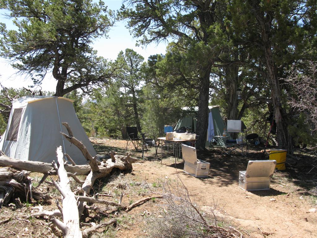 IMG_0074 (Large).JPG