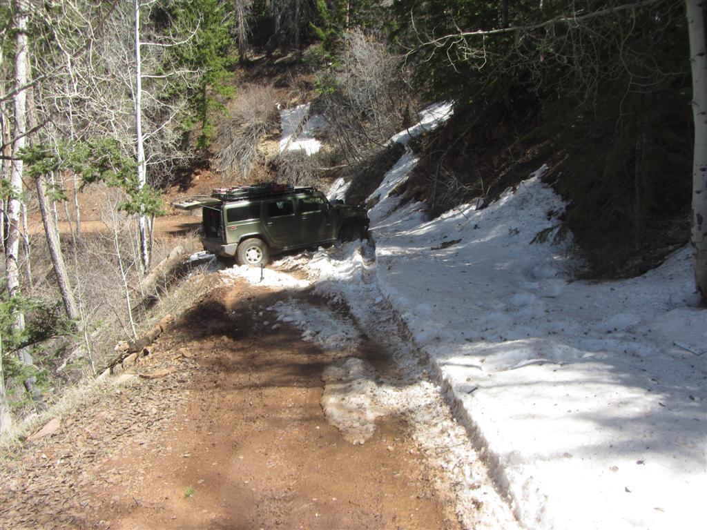 IMG_0770 (Large).JPG