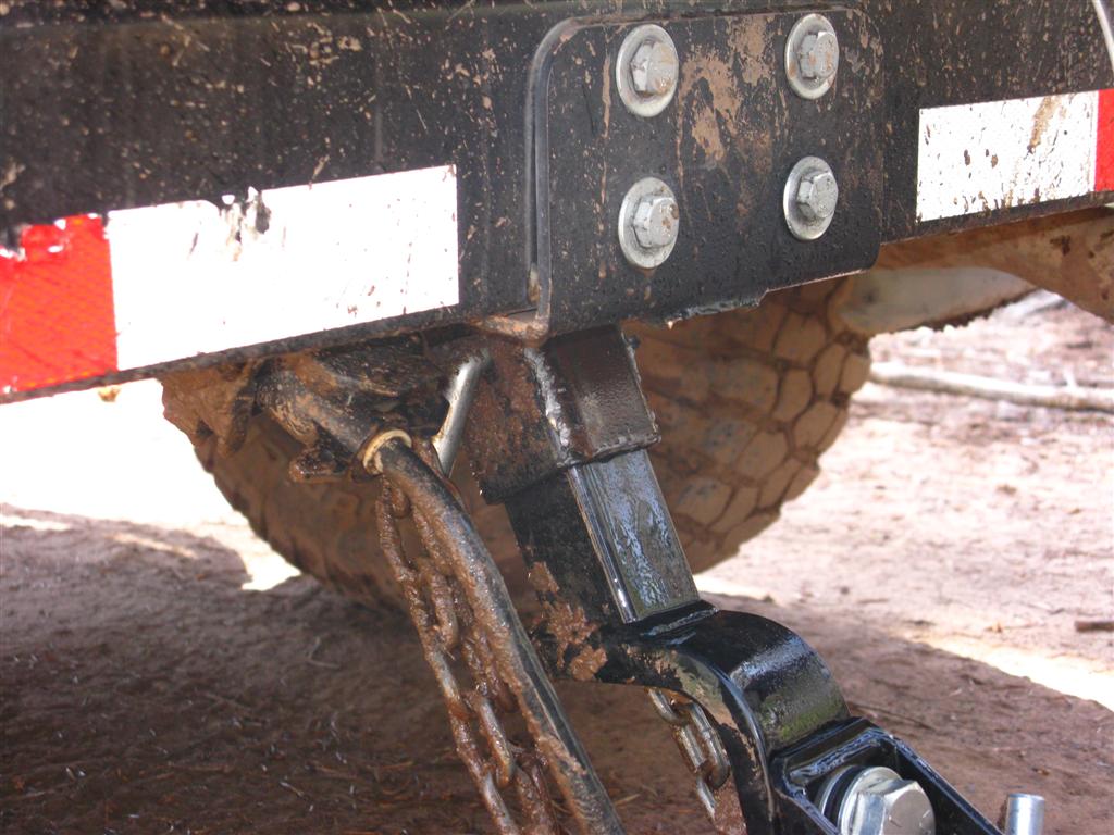 IMG_0080 (Large).JPG