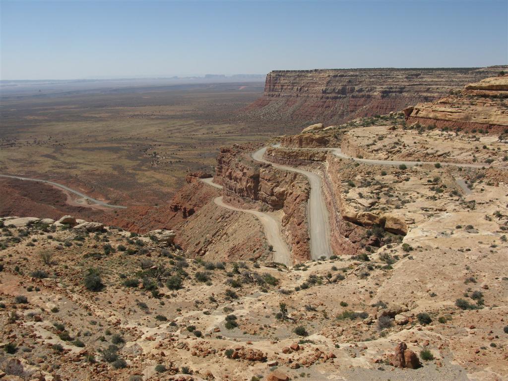 IMG_0044 (Large).JPG