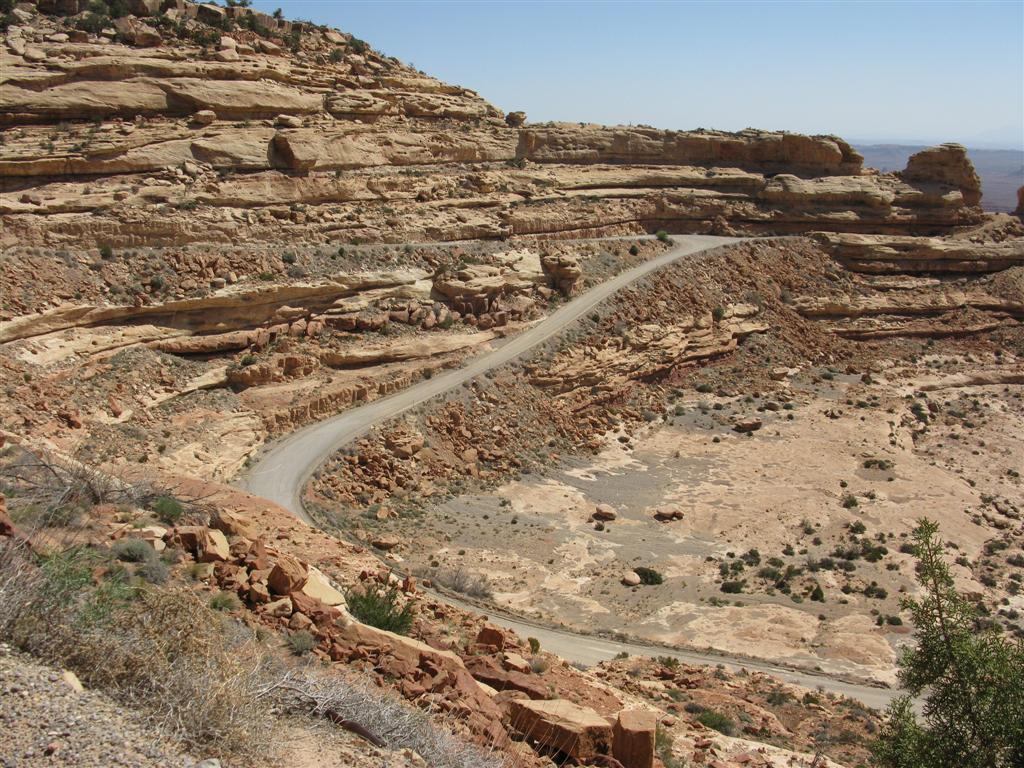 IMG_0049 (Large).JPG