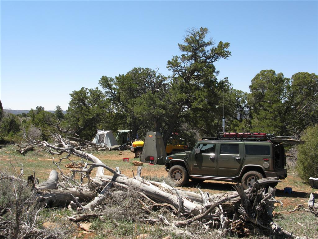 IMG_0071 (Large).JPG