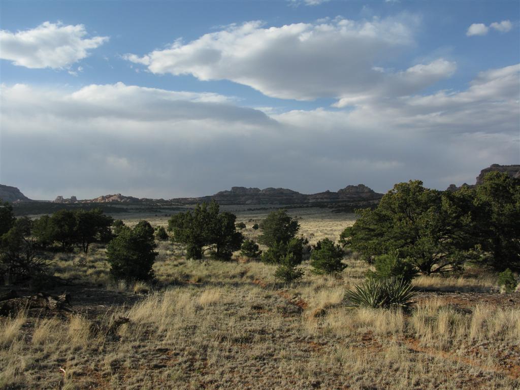 IMG_0122 (Large).JPG