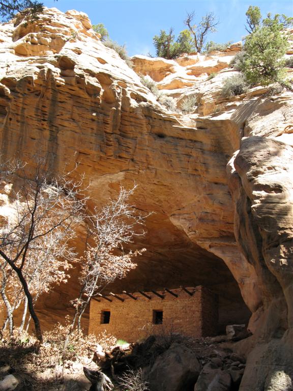 IMG_0061 (Large).JPG