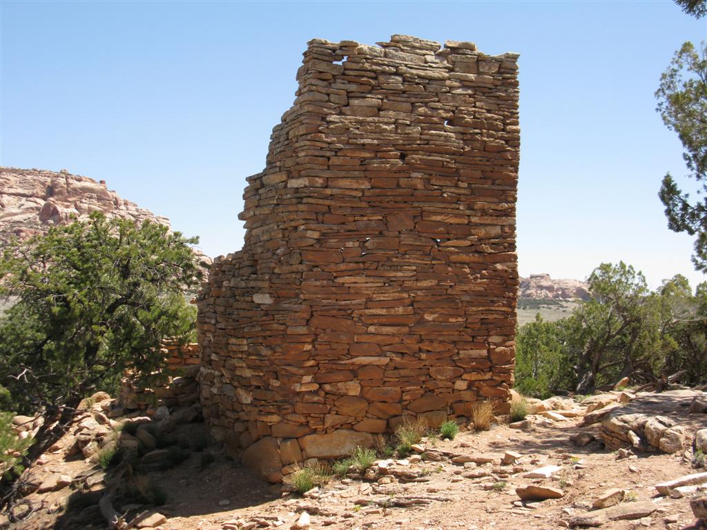 IMG_0157 (Large).JPG