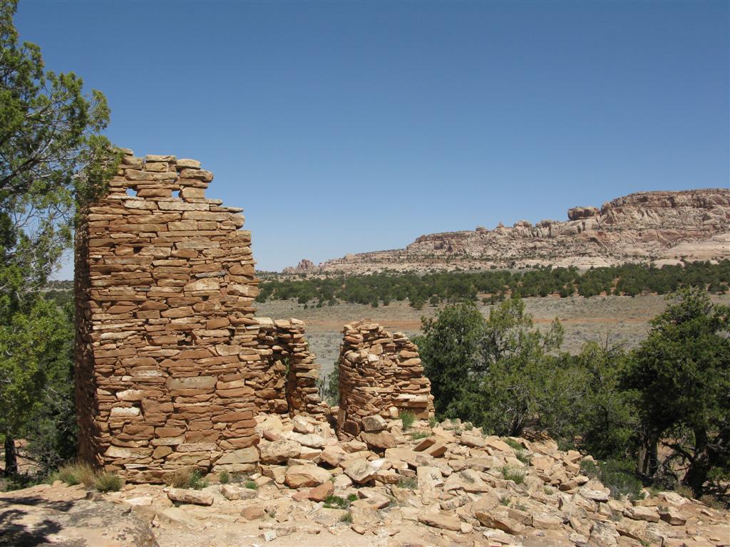 IMG_0158 (Large).JPG