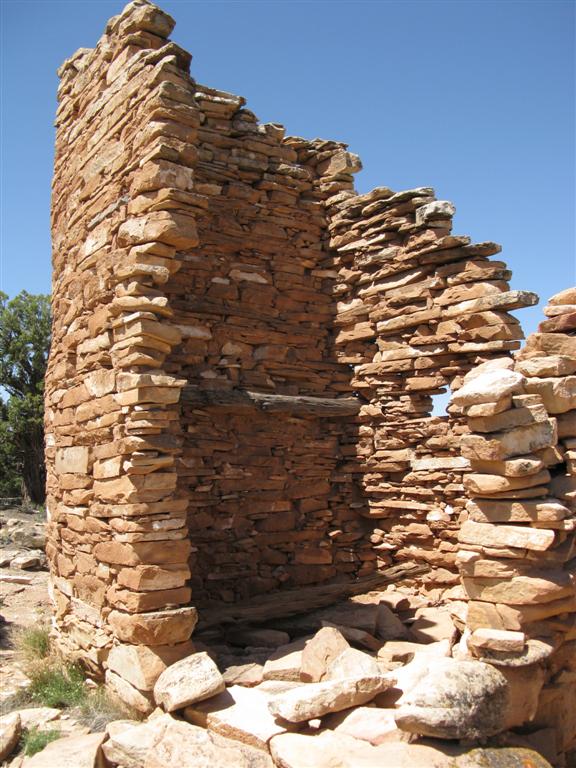 IMG_0163 (Large).JPG