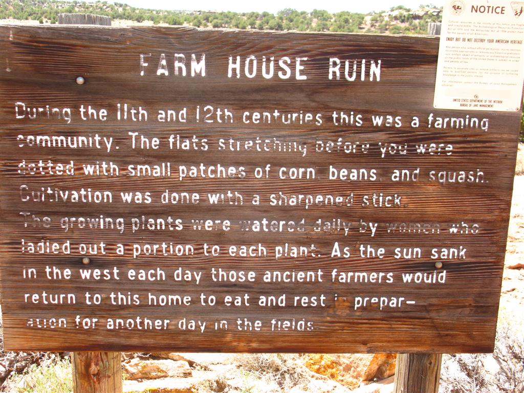 IMG_0171 (Large).JPG