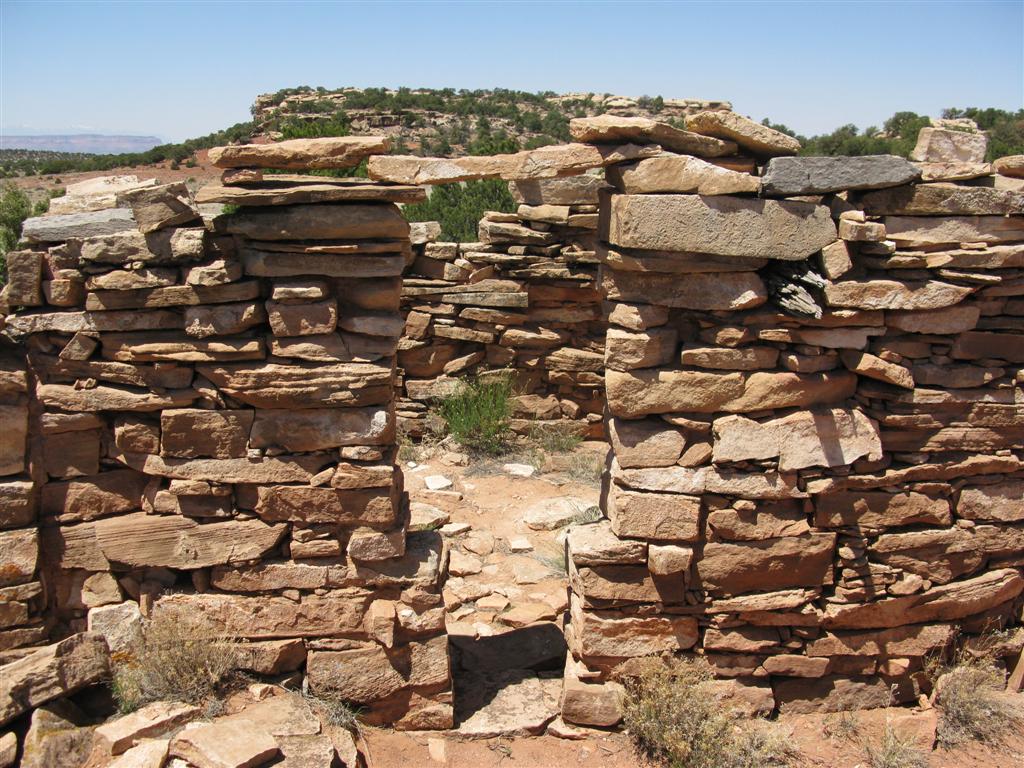 IMG_0177 (Large).JPG