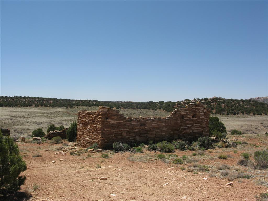 IMG_0186 (Large).JPG