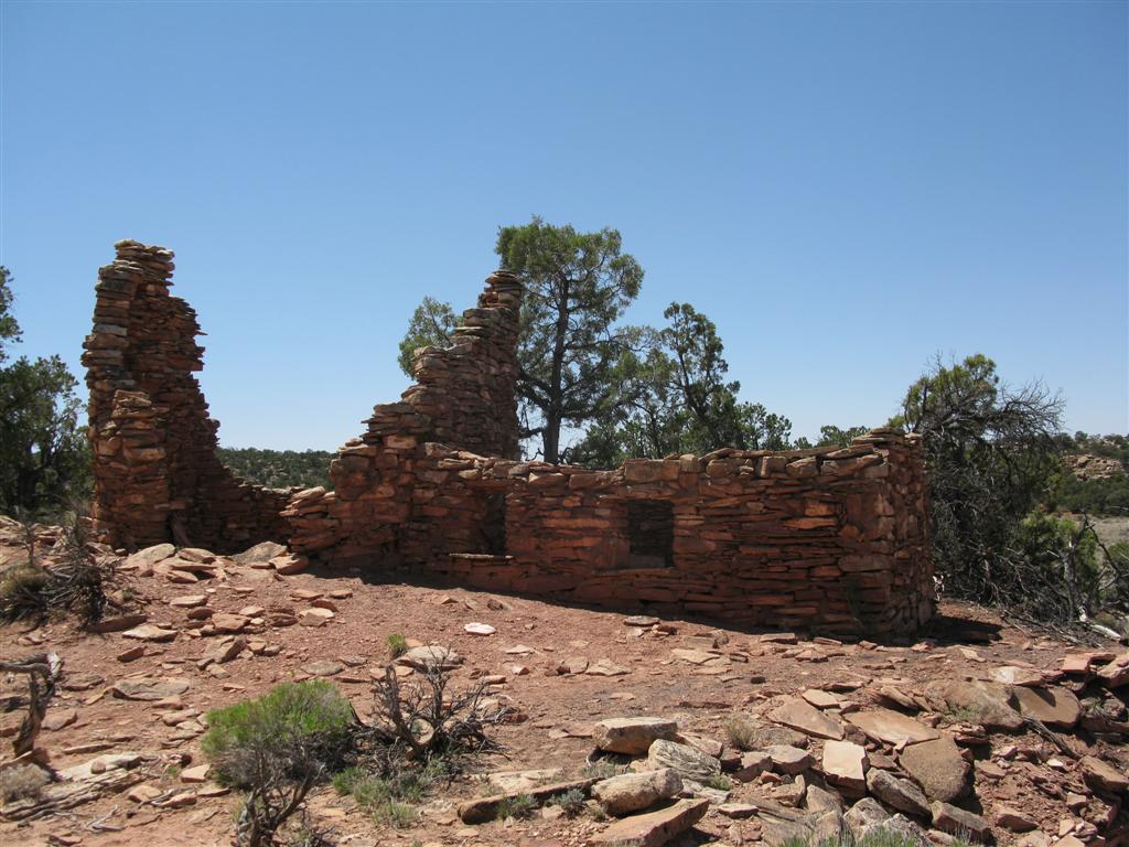 IMG_0193 (Large).JPG