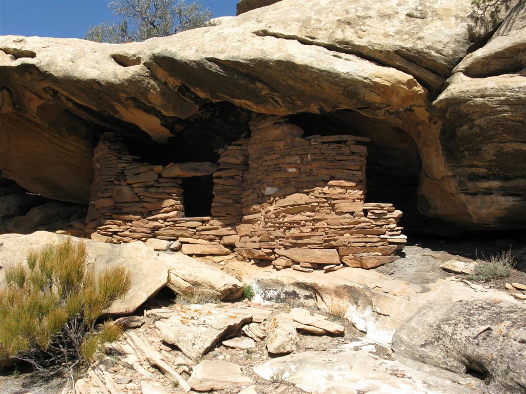 IMG_0201 (Large).JPG