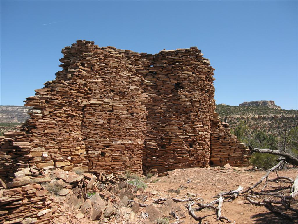 IMG_0236 (Large).JPG