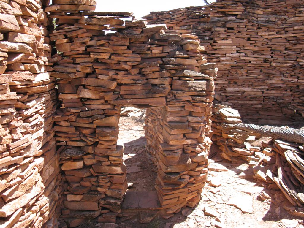 IMG_0257 (Large).JPG