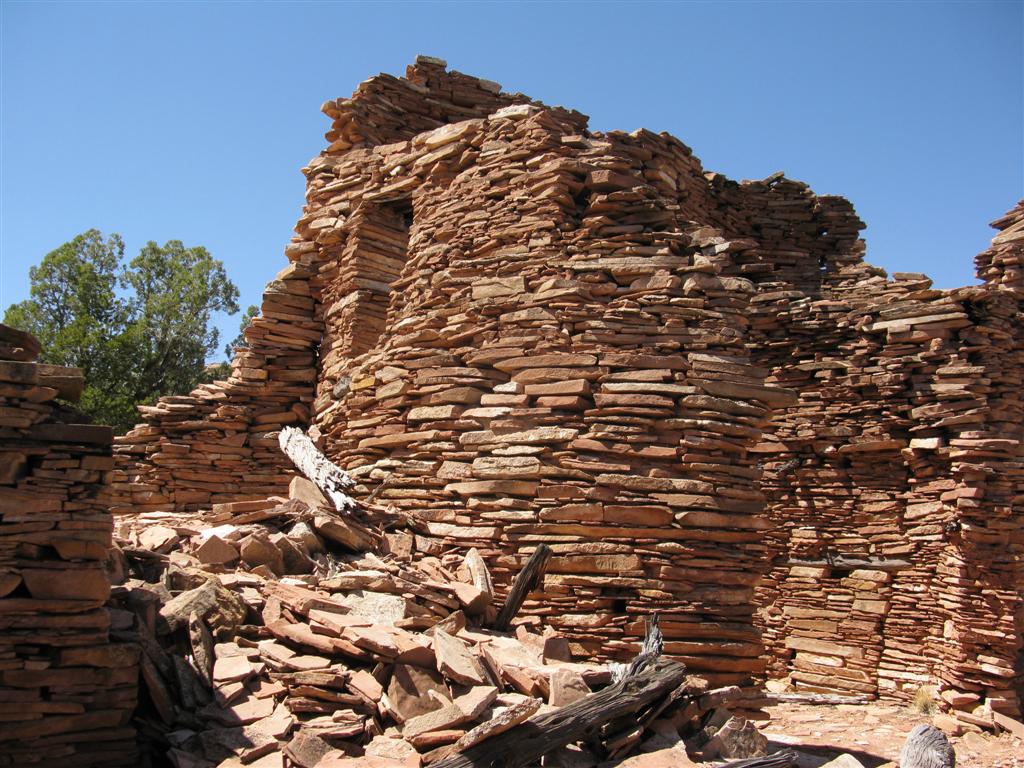 IMG_0266 (Large).JPG