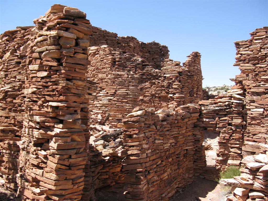 IMG_0268 (Large).JPG