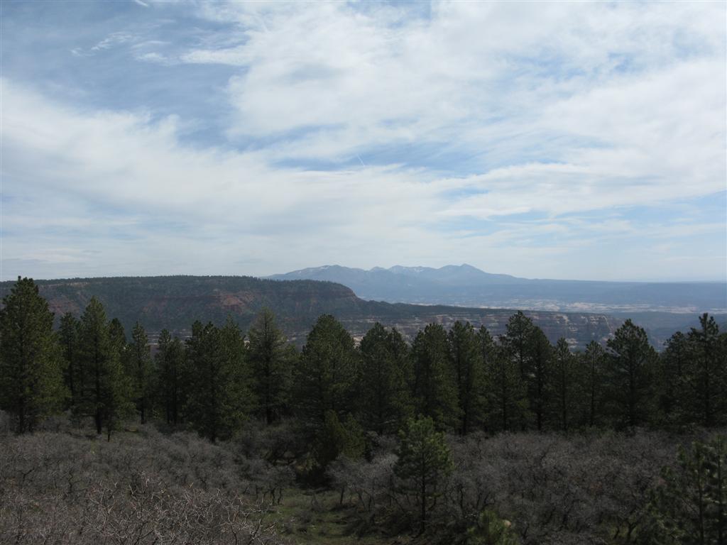 IMG_0084 (Large).JPG