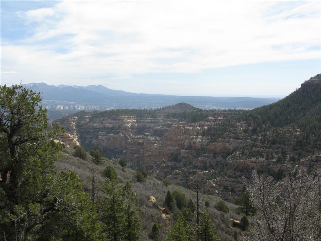 IMG_0088 (Large).JPG