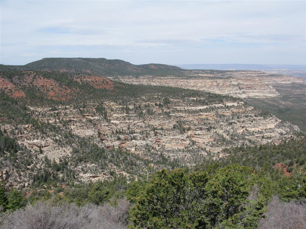 IMG_0092 (Large).JPG