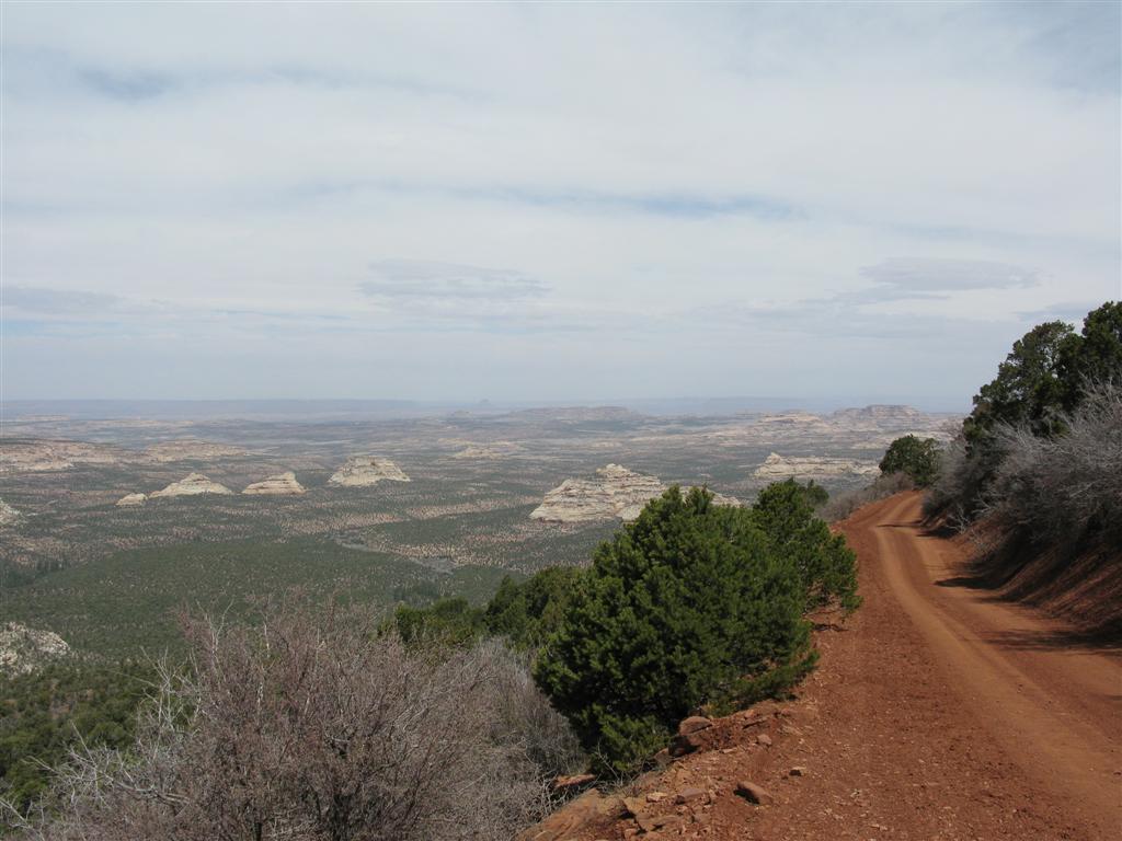 IMG_0094 (Large).JPG