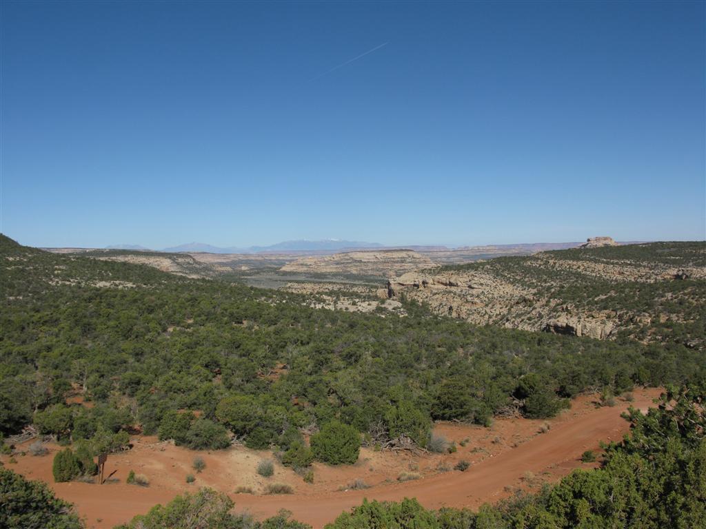 IMG_0303 (Large).JPG