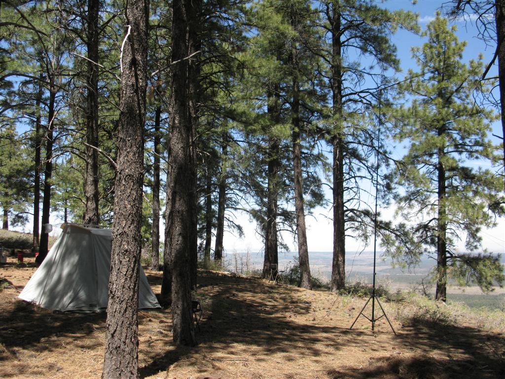 IMG_0323 (Large).JPG