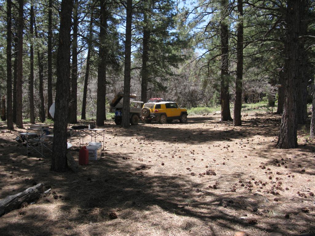 IMG_0332 (Large).JPG