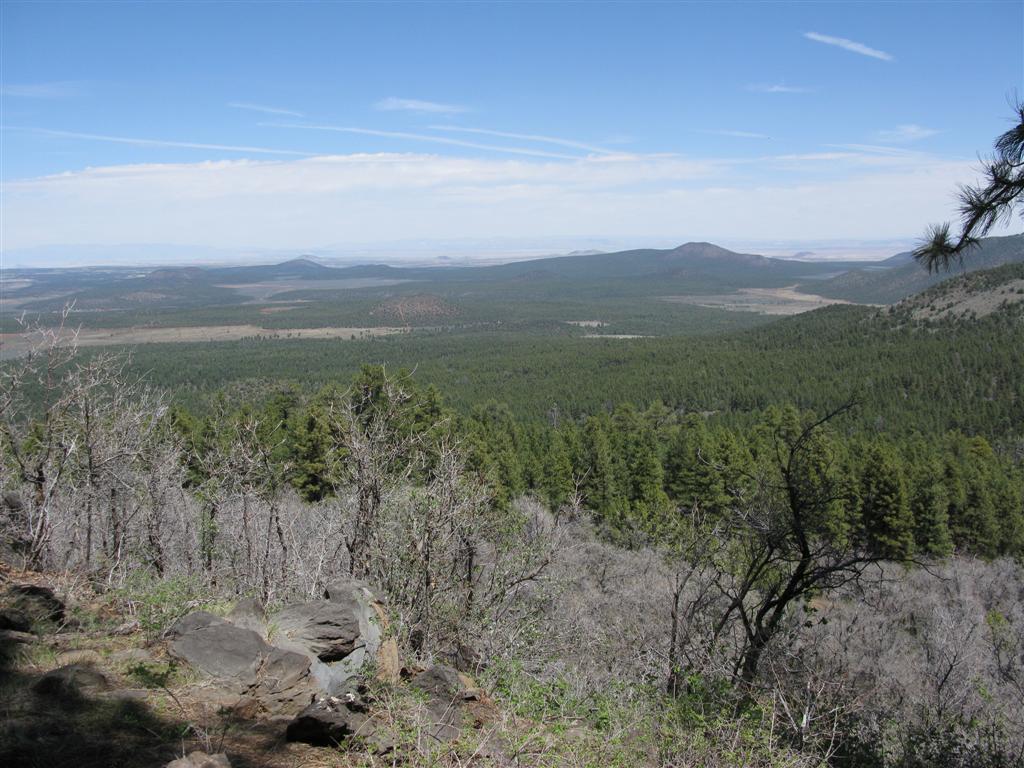 IMG_0329 (Large).JPG