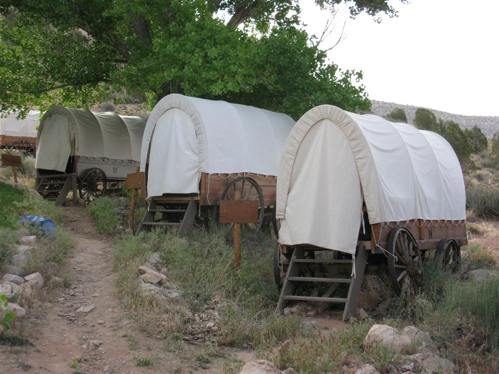 IMG_0376 (Large).JPG