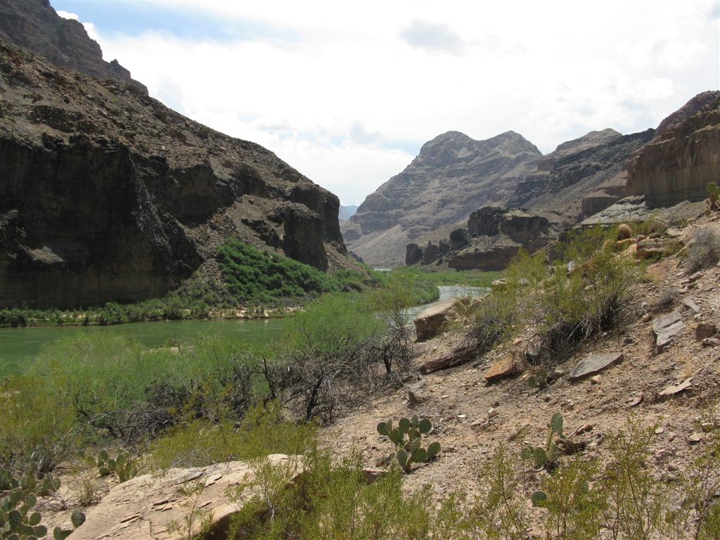 IMG_0363 (Large).JPG