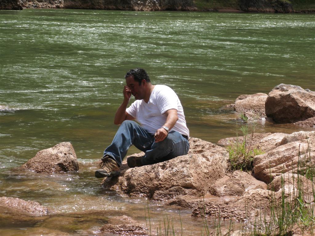 IMG_0368 (Large).JPG