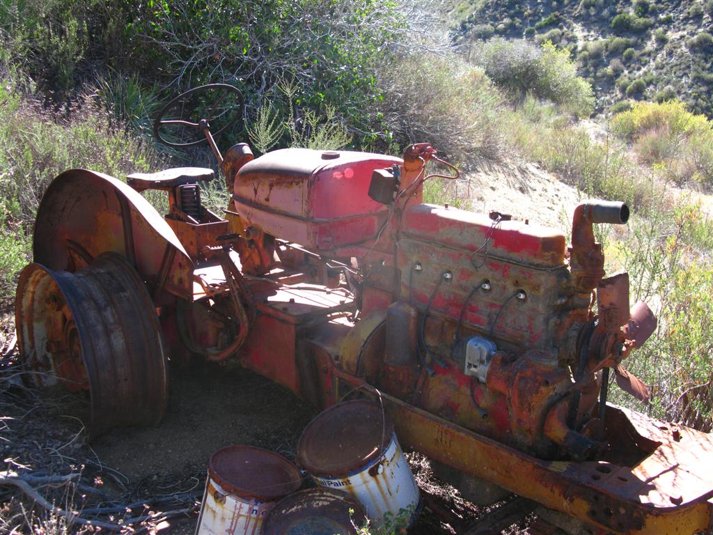 IMG_0536 (Large).JPG