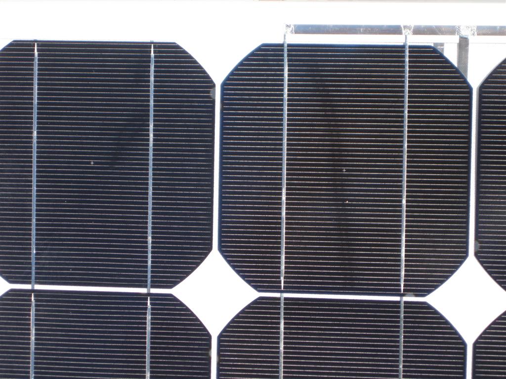 IMG_0800 (Large).JPG