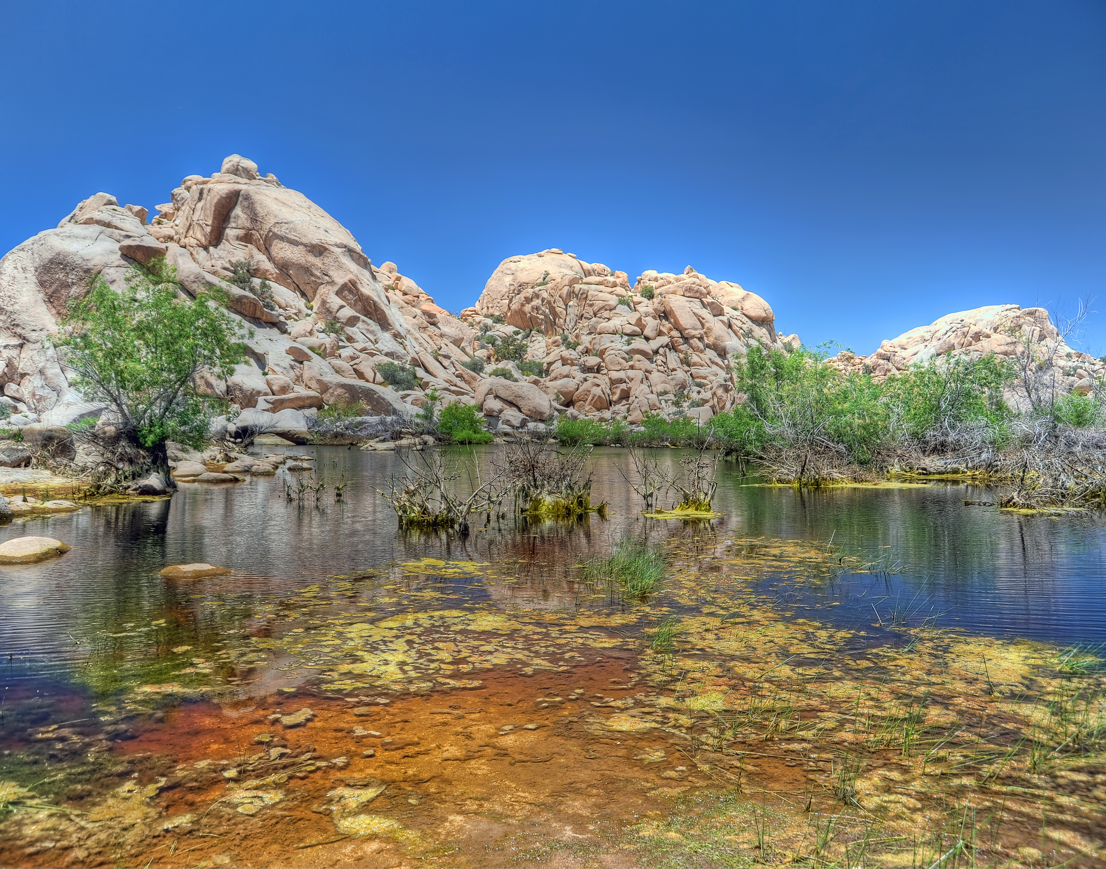 DSC_1872_3_4_tonemapped A.jpg