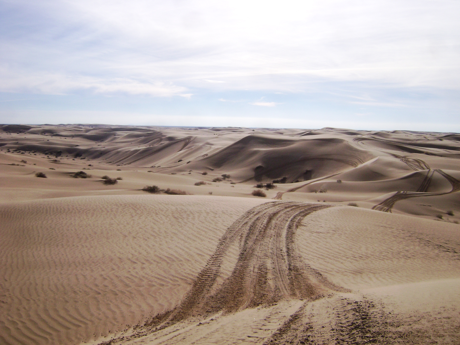 Dunes1.jpg