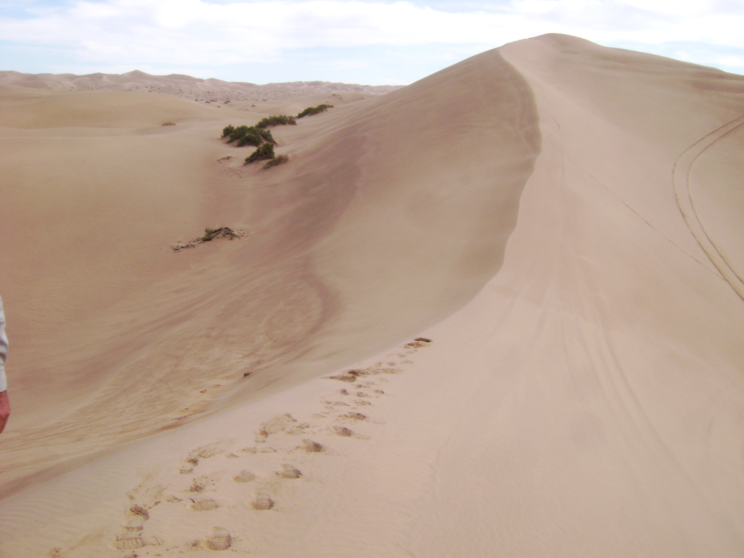 Dunes3.jpg