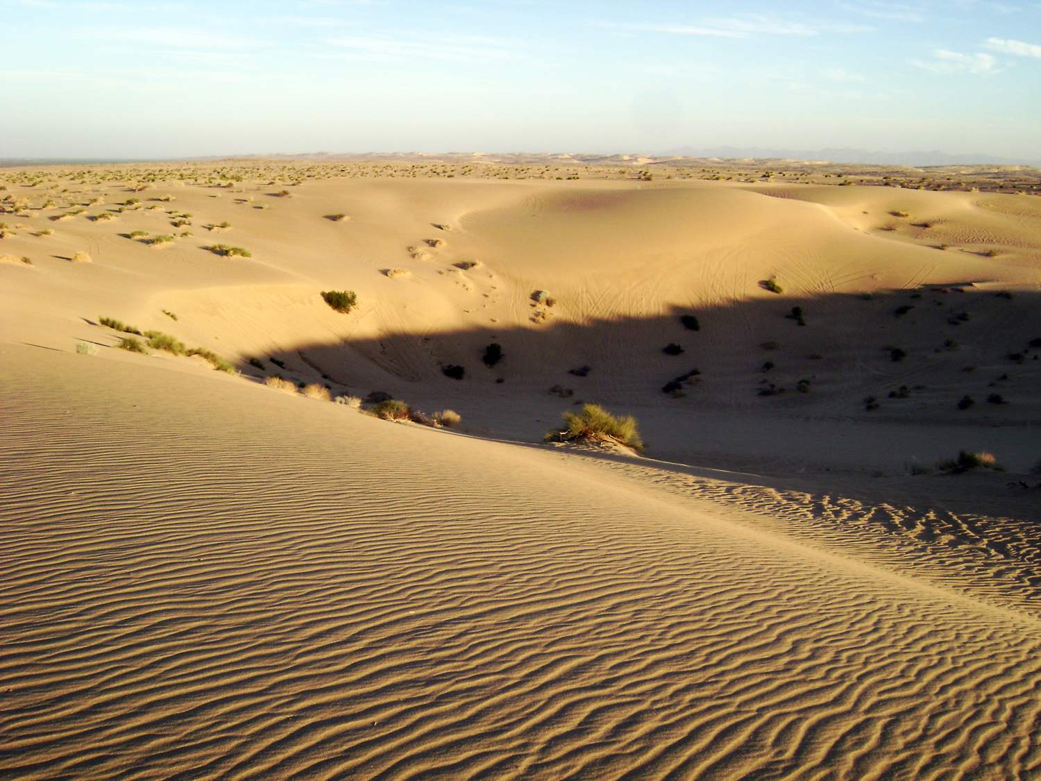 Dunes6.jpg