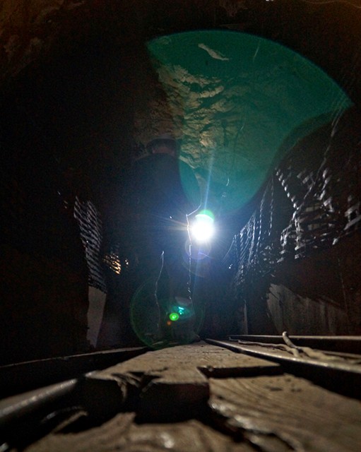 30. Watch that first step on the bridge... Below, from the pit of the cavern, about 30 feet, a plethora of animal bones were excavated some old to very, very old.