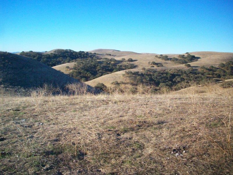 A- Private Land - Usually Ranches, provide beautiful scenery that goes along with the hunt.