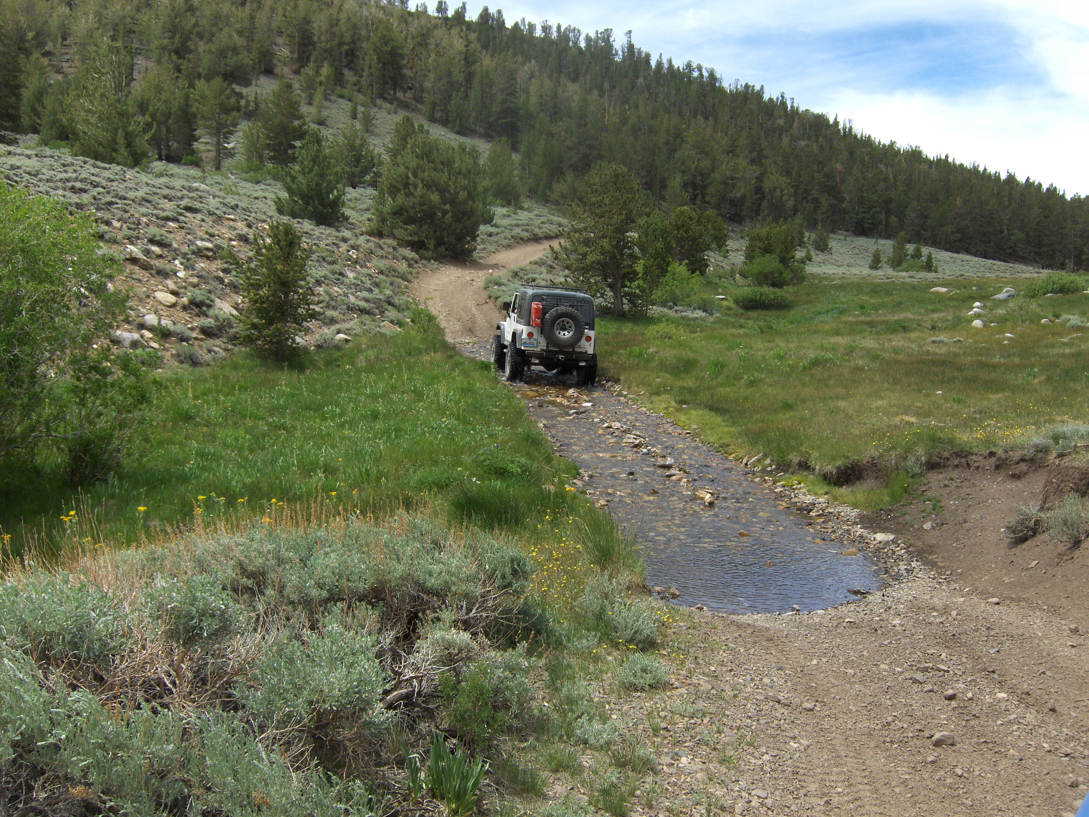 8 Spring Crossing.JPG